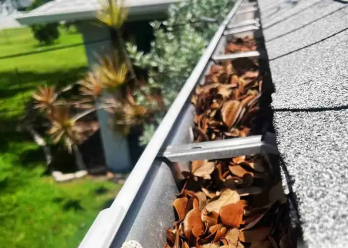 Livingston gutter cleaning home page